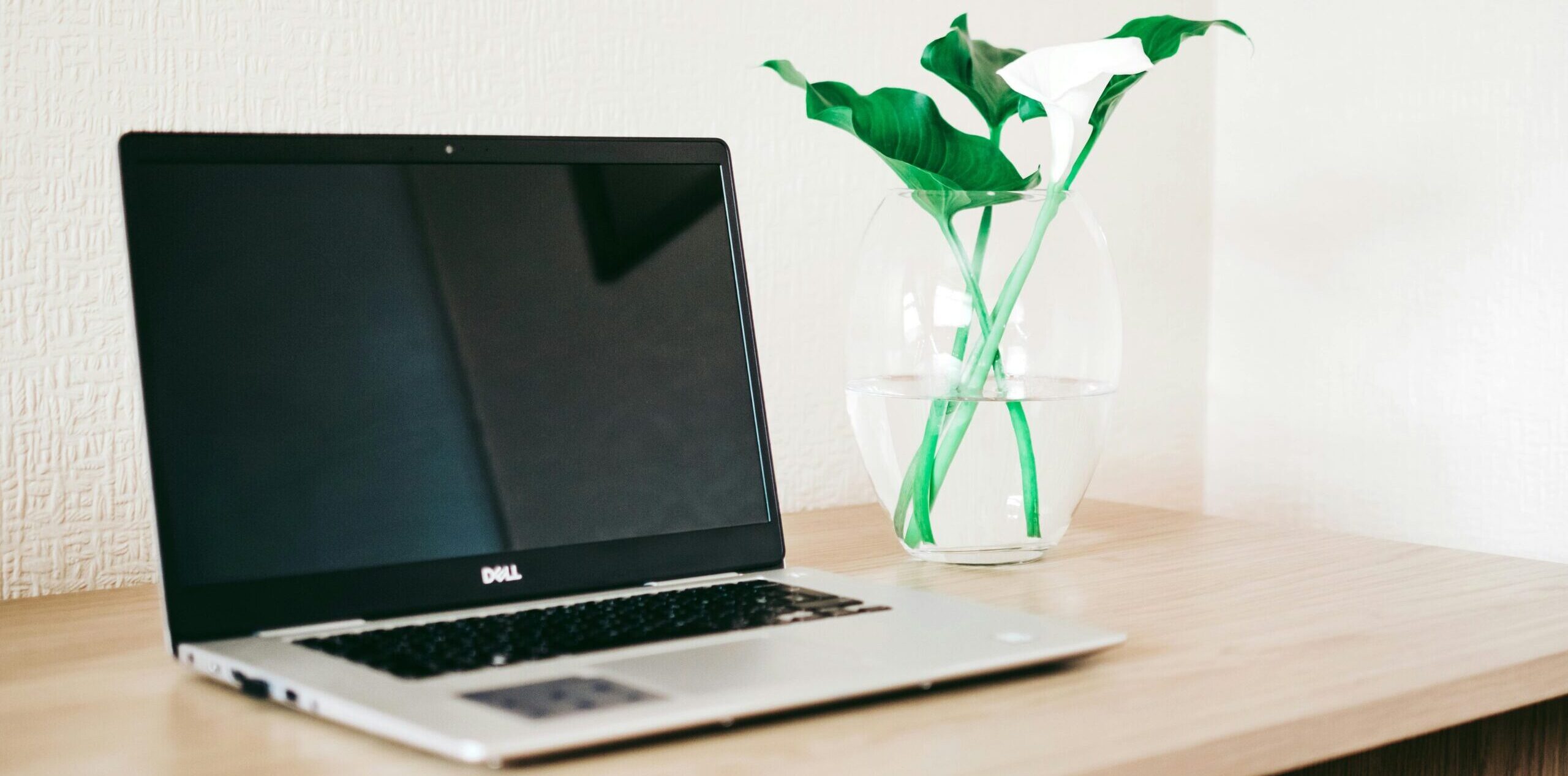 Managing domain names and DNS services for secure and fast websites